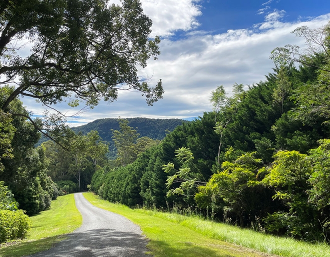 scenic day trips from brisbane